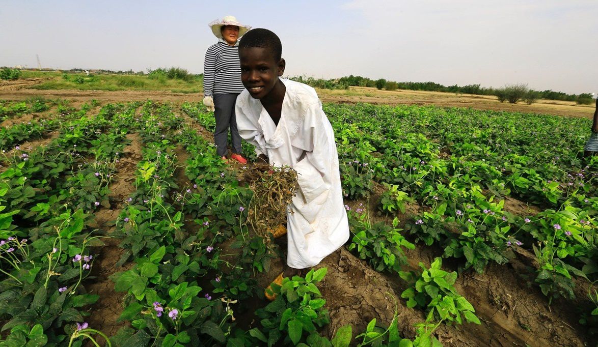 السودان كان سلة الغذاء العربي وأزمته بسبب النزاعات لا ض…