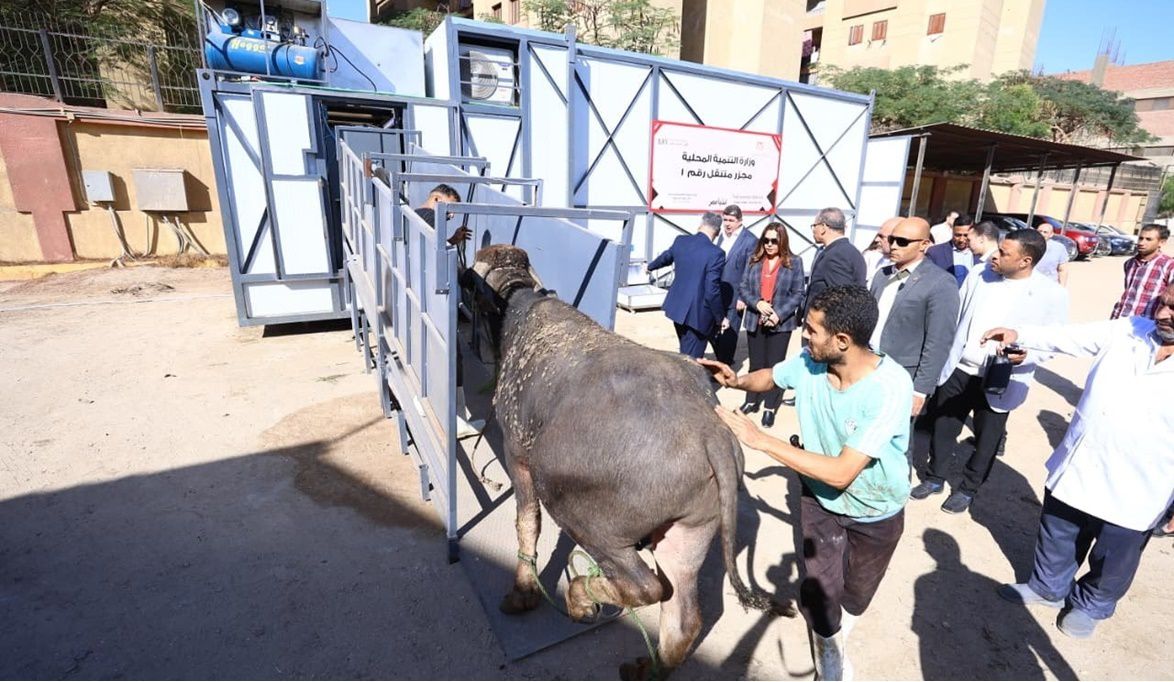 افتتاح أول مجزر متنقل في مصر بسعة 100 رأس يوميًا…