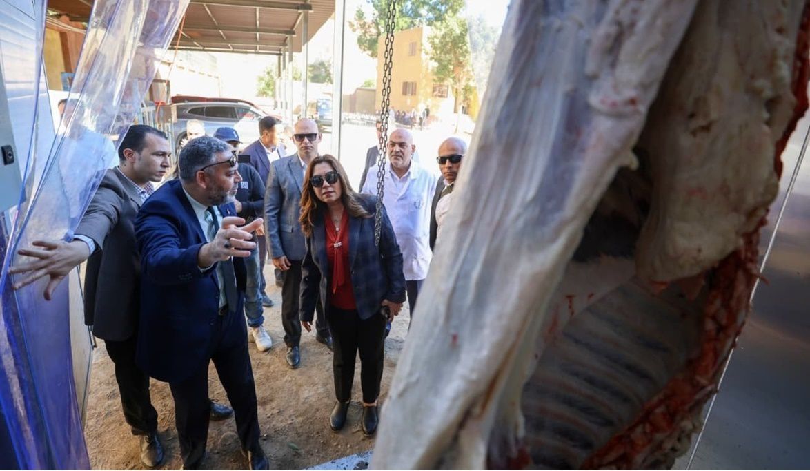قدرة ذبح 100 رأس يومياً أول مجزر آلي متنقل في مصر بمواصفات أور…