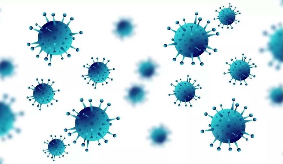 فيروس ماربورغ لن يدخل مصر .. وإجر…