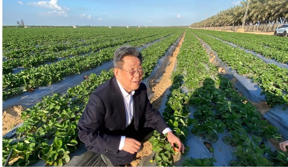 الحجر الزراعي يستقبل إحدى كبرى الشركات الصينية لبحث الاستثمار …