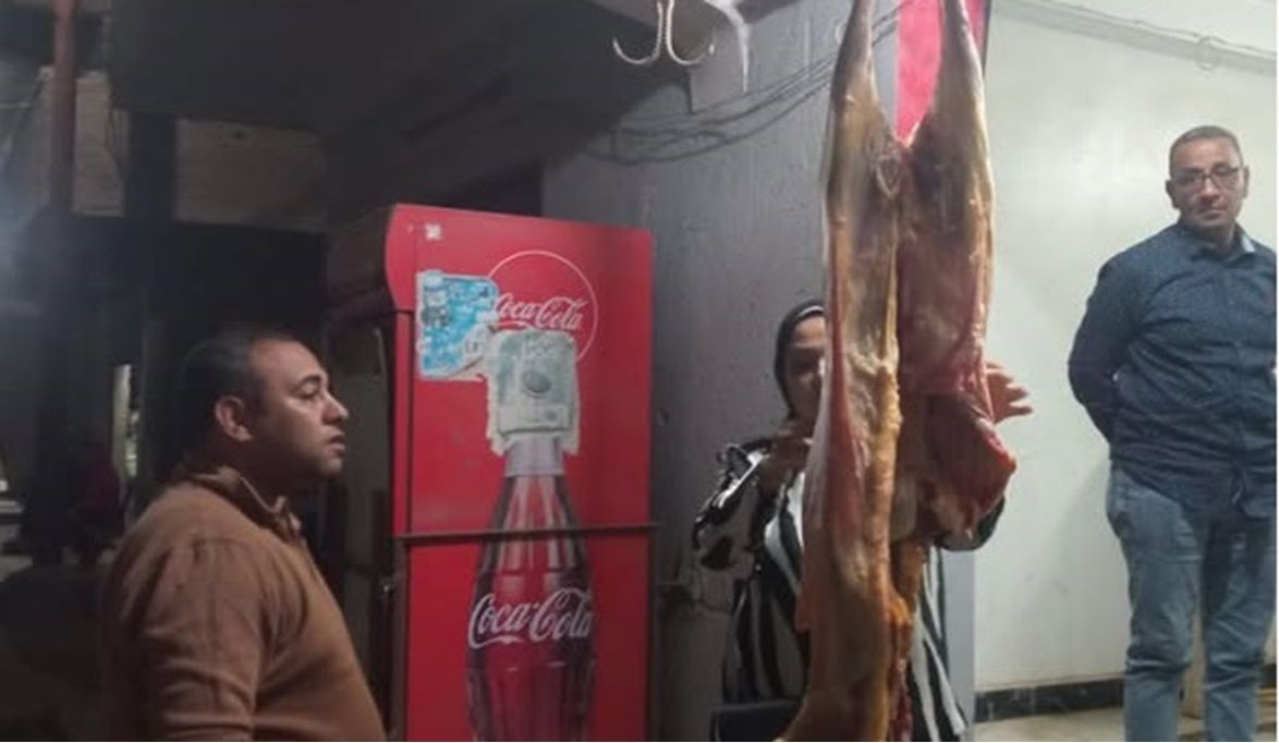 صحة المنيا تضبط لحوم ضأن غير صالحة وتحرر 21 محضرًا في حملات رق…