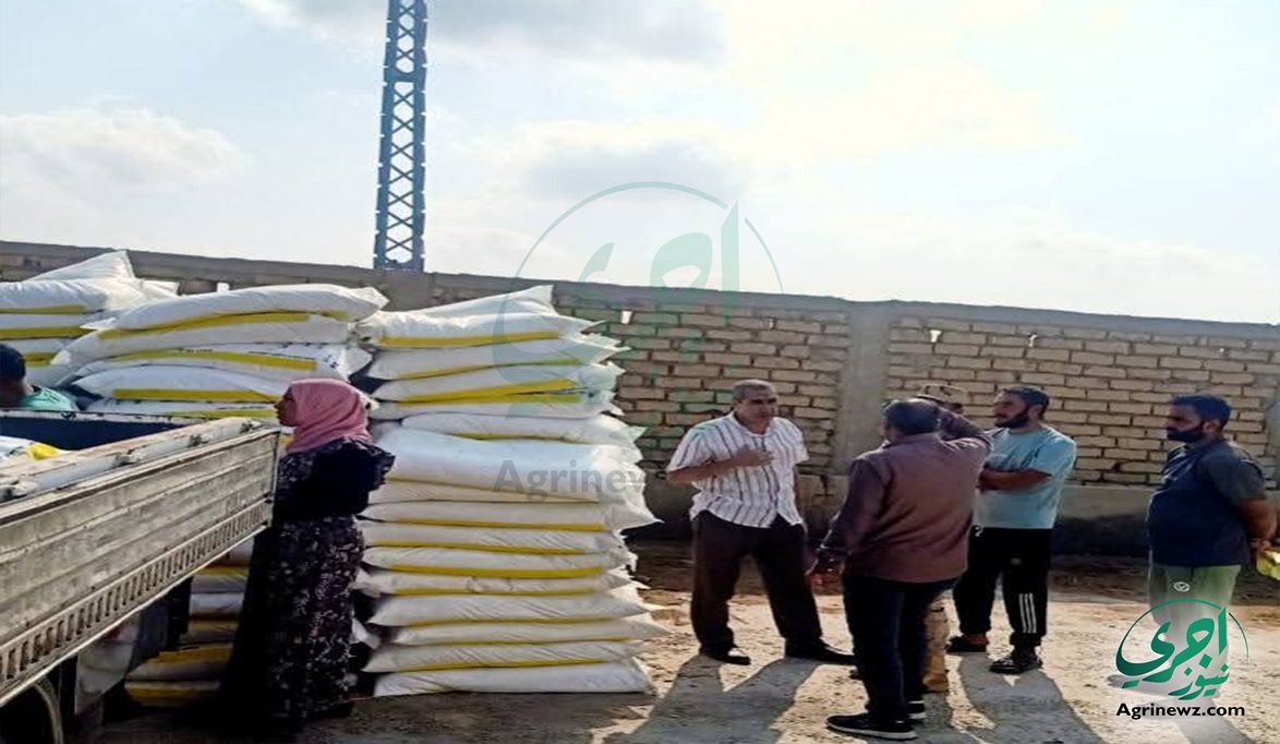 لجان رقابية على الجمعيات الزراعية لمنع تسريب الأسمدة المدعمة ل…