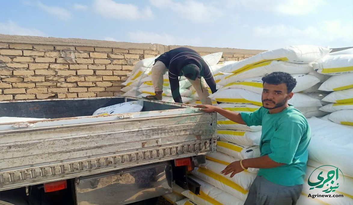 “الزراعة” تلزم الجمعيات بتثبيت لوحات للأسعار ومنع فرض أي أعباء…