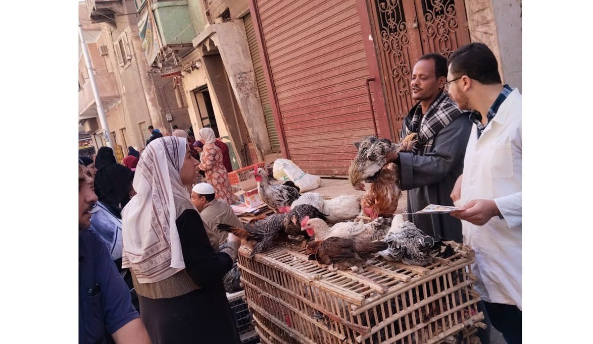 “الزراعة” تطلق حملات توعوية مكثفة لتعزيز الأمن الحيوي في قطاع …