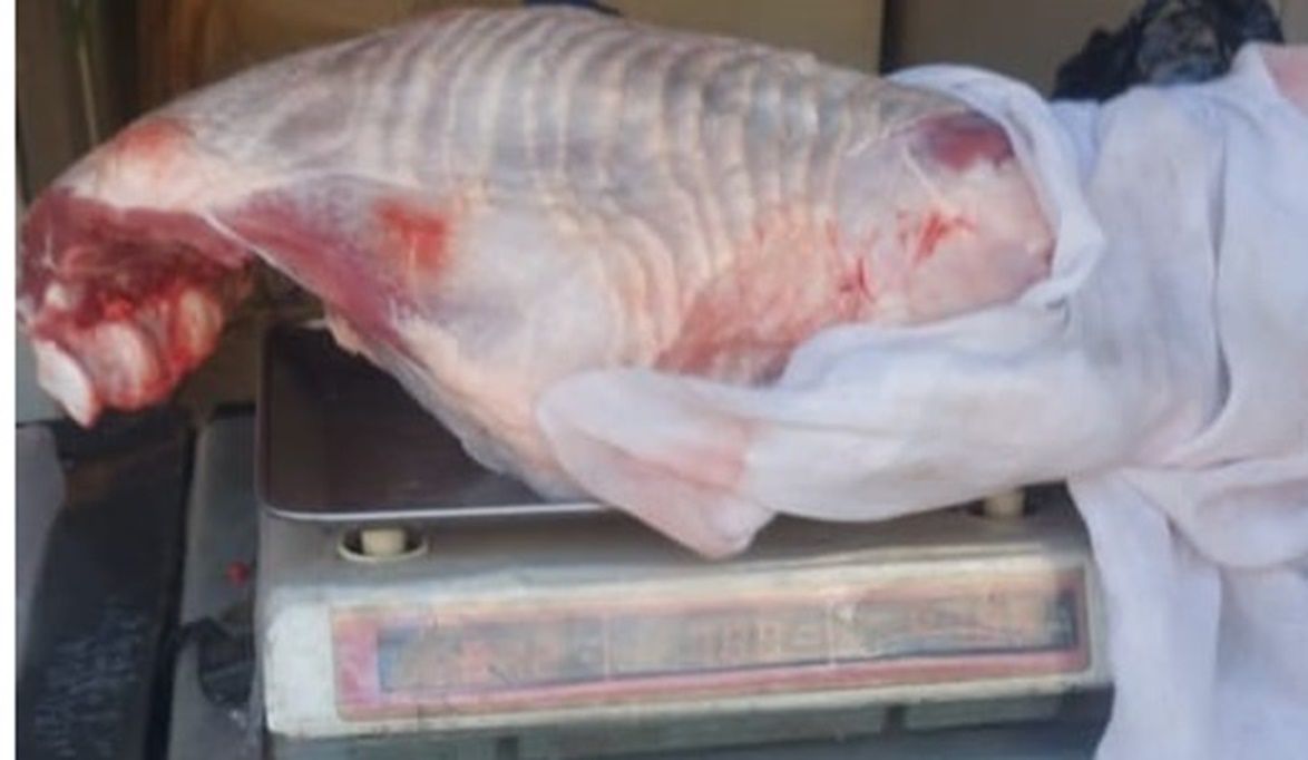 تكثيف الرقابة التموينية على المخابز والأسواق في م…