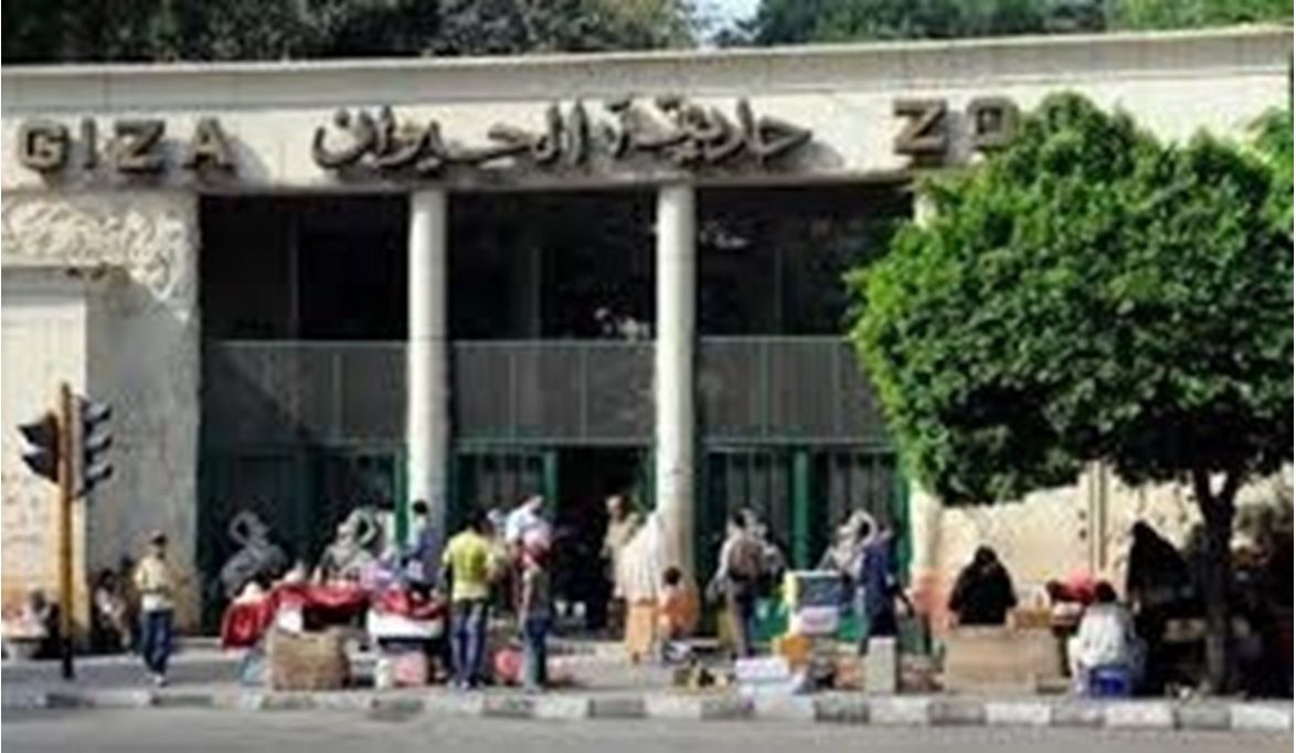 الافتتاح في 2026 بعد تطوير عالمي ور…