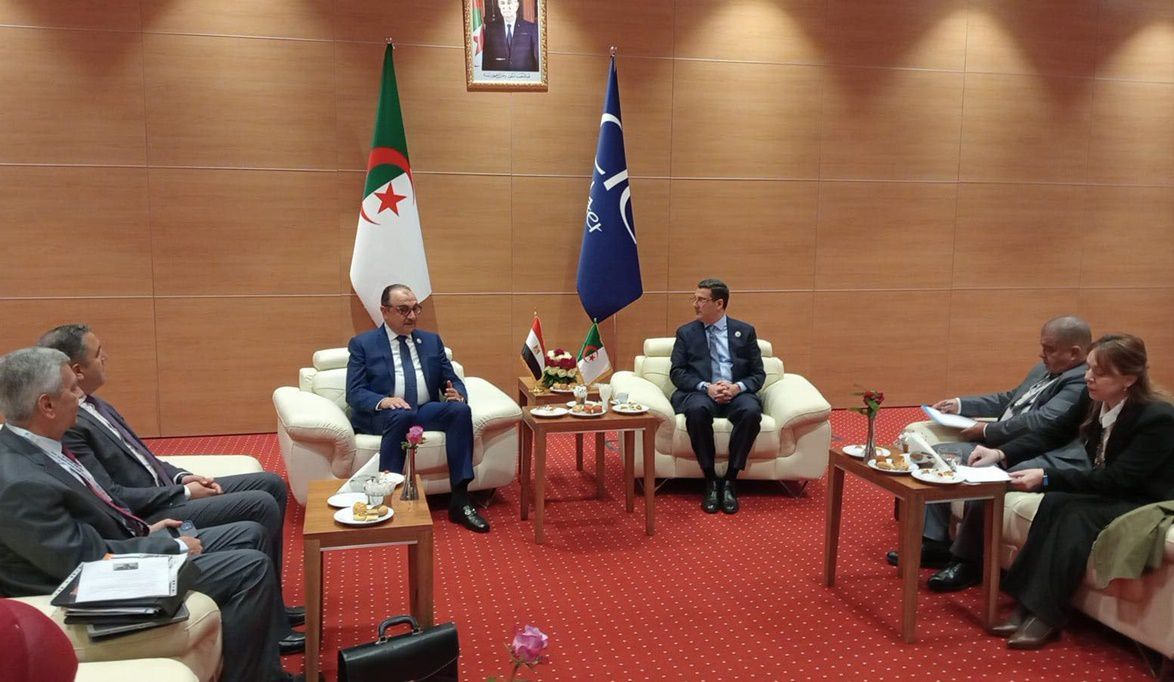 مصر والجزائر تعززان التعاون الدوائي لتوطين صناعة الأدوية ورفع …