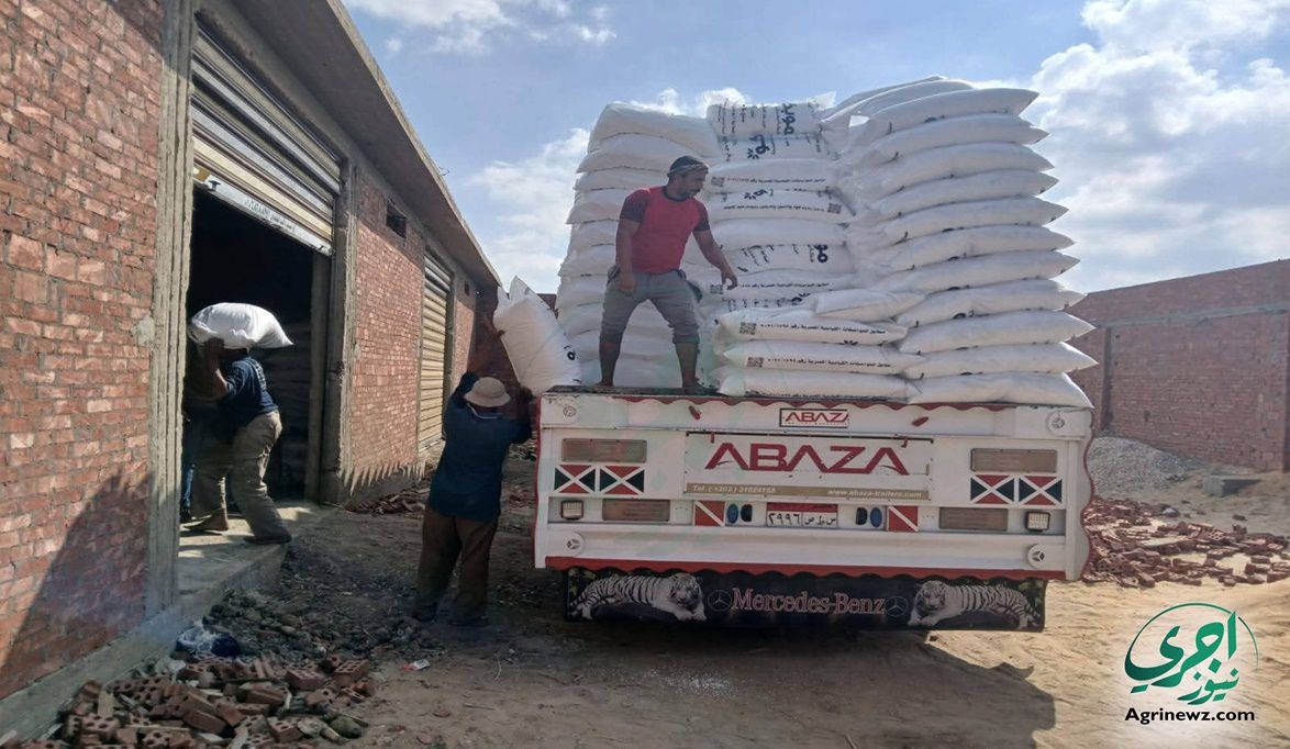 الزراعة تعلن حجم المقررات السمادية للفدان.. أعرف حصتك…