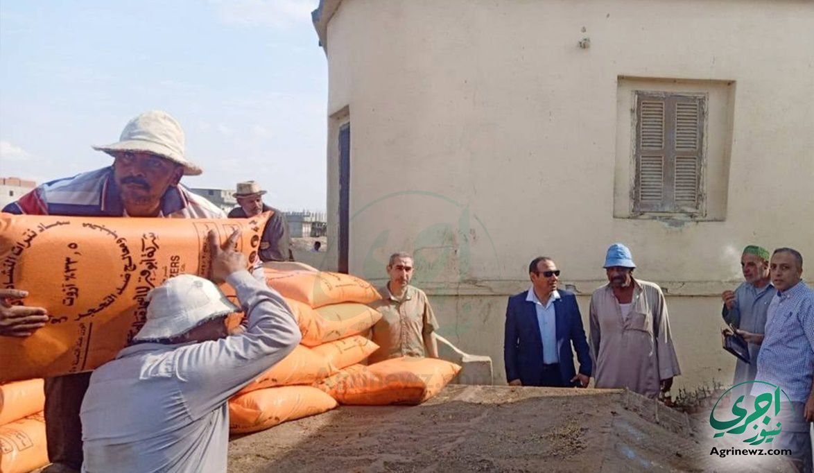 ننشر قرارات “الزراعة” لتحدد آليات وضوابط صرف أسمدة الموسم الشت…