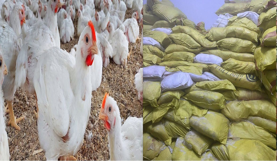 السلطات تضبط كبدة ودجاج غير صالح في قلب الدقهلي…