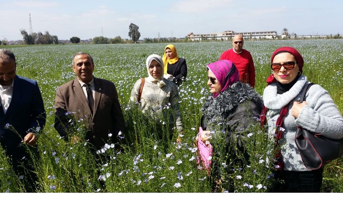 مركز البحوث الزراعية يتحرك لتطوير صناعات الزبيب والكتان بالغرب…