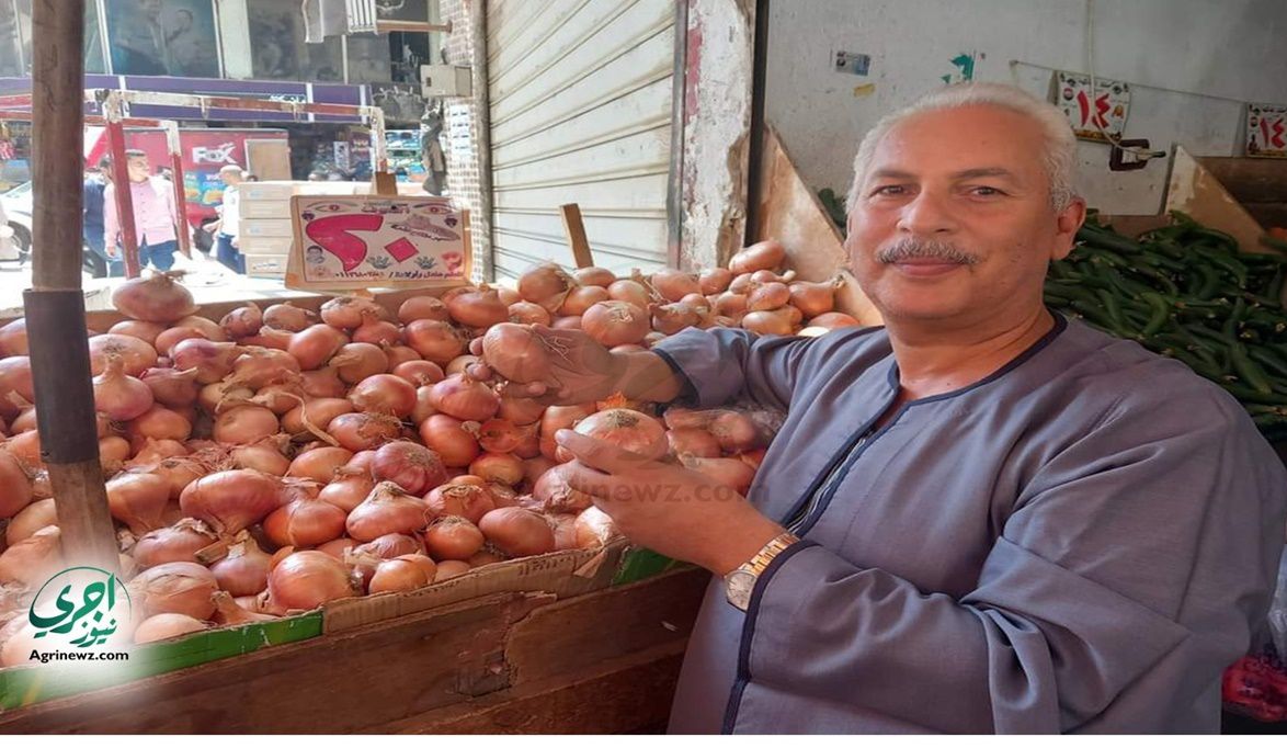 رخص أسعار الطبيخ يهدد المزارعين بخسائر فادحة…