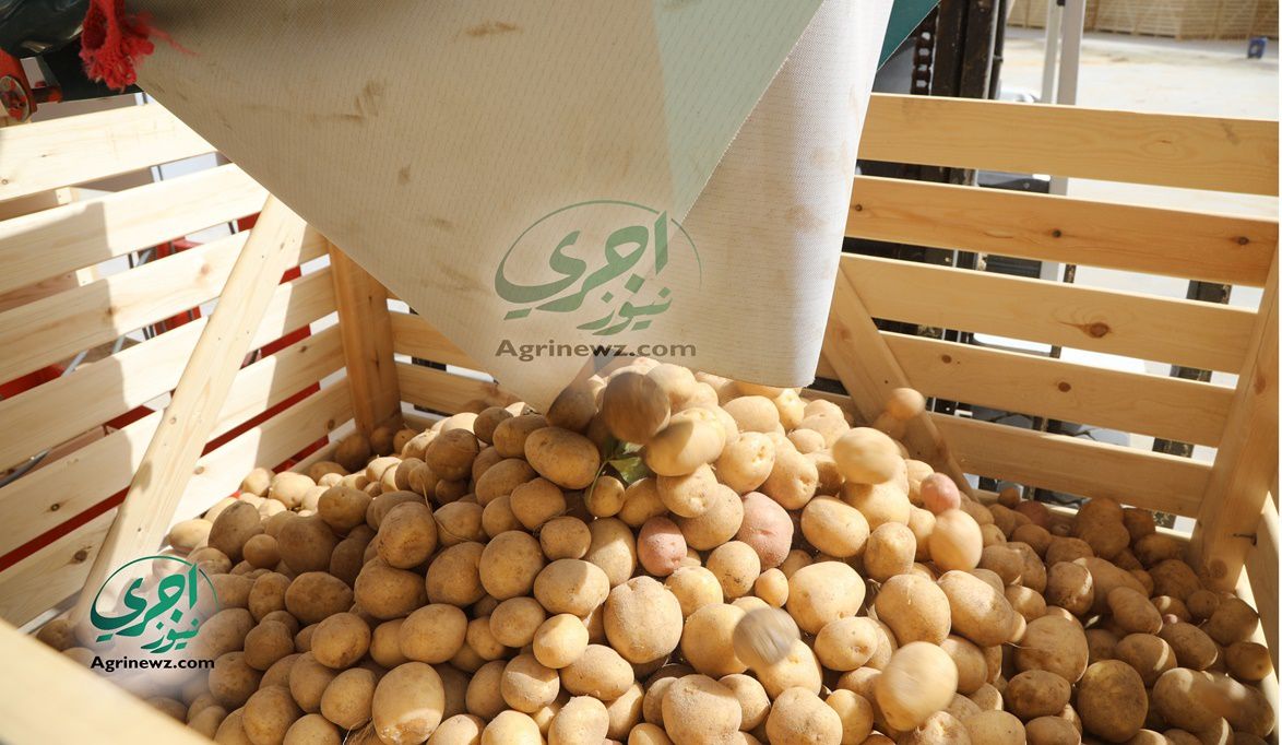 الزراعة تشدد إجراءات فحص الصادرات الزراعية لضمان مطابقتها للمع…