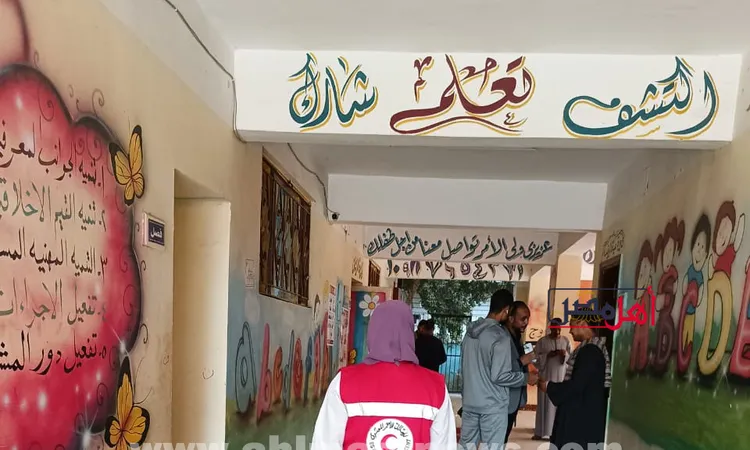 بسيب توجيه الناخبين.. منع دخول حاملي التوكيلات من دخول مقار اللجان في قنا