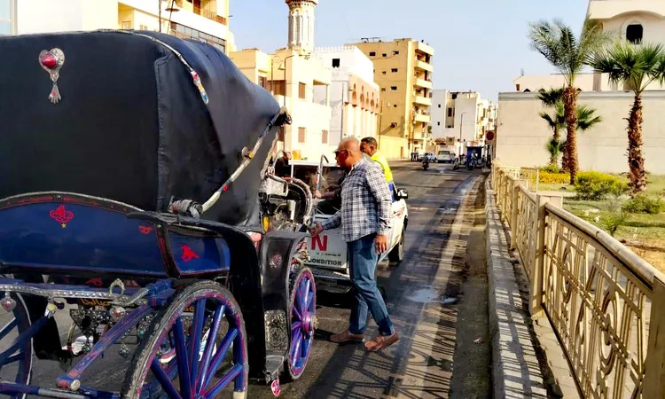 التحفظ على عربة حنطور مخالفة وحملة لقص وتهذيب الأشجار بمنطقة المطار بالأقصر