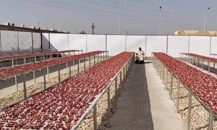 ذوي الهمم يقودون التنمية والتصنيع الزراعي وتنمية المجتمع المحلي” بالأقصر