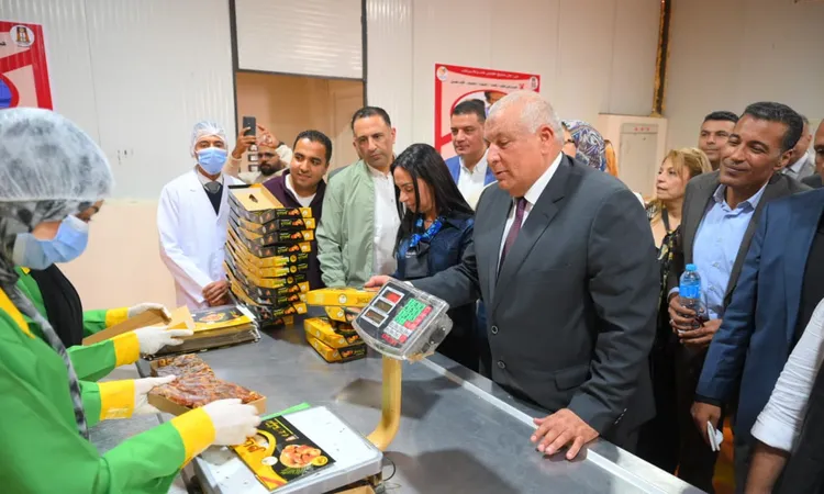 وزيرة التضامن توجه باستصلاح 5 آلاف فدان وزراعتهم بالنخيل في الوادي الجديد