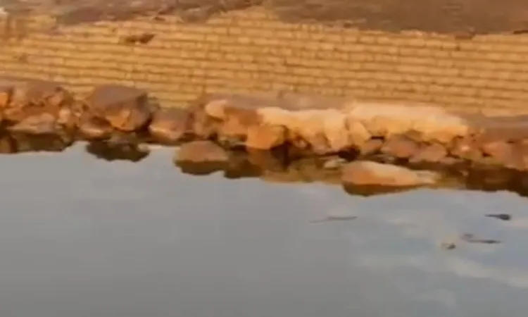 نموت بالبطيء ..شوارع عزبة الأمير بالأقصر تتحول إلى مستنقعات وسط صرخات الأهالي