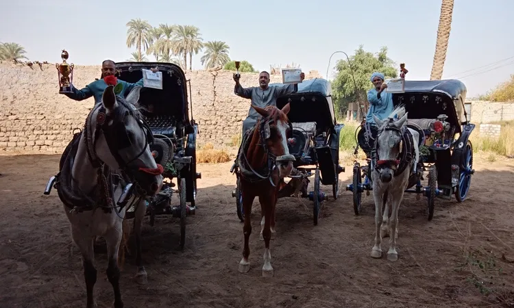 تكريم سائقي خيول الحنطور الأكثر تميزًا صحيا وجماليًا وحفاظا على الطابع السياحي للأقصر