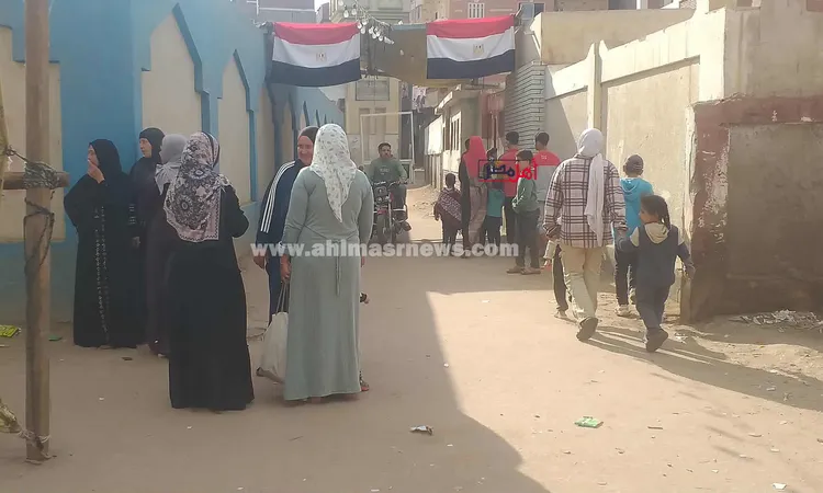 الإدارية العليا تبطل انتخابات دائرة طامية وسنورس وسنهور بالفيوم