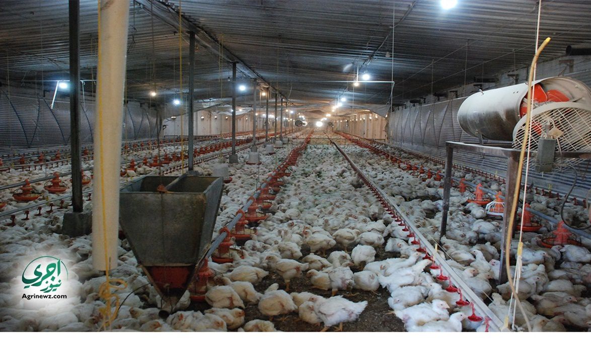 خطة وقائية مشددة لمواجهة إنفلونزا الطيور… ولجان تقصّي في 9 محا…