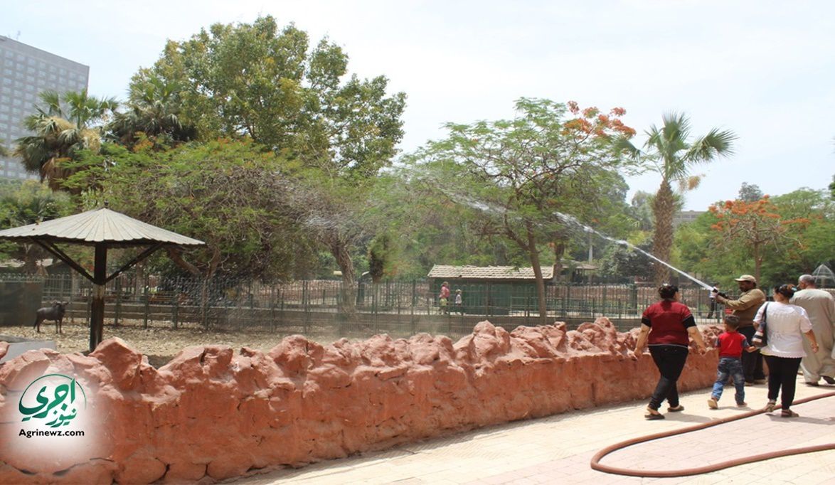 سنة مليئة بالمفاجآت… الجيزة تستعد لأكبر طفرة في تاريخ حديقة ال…