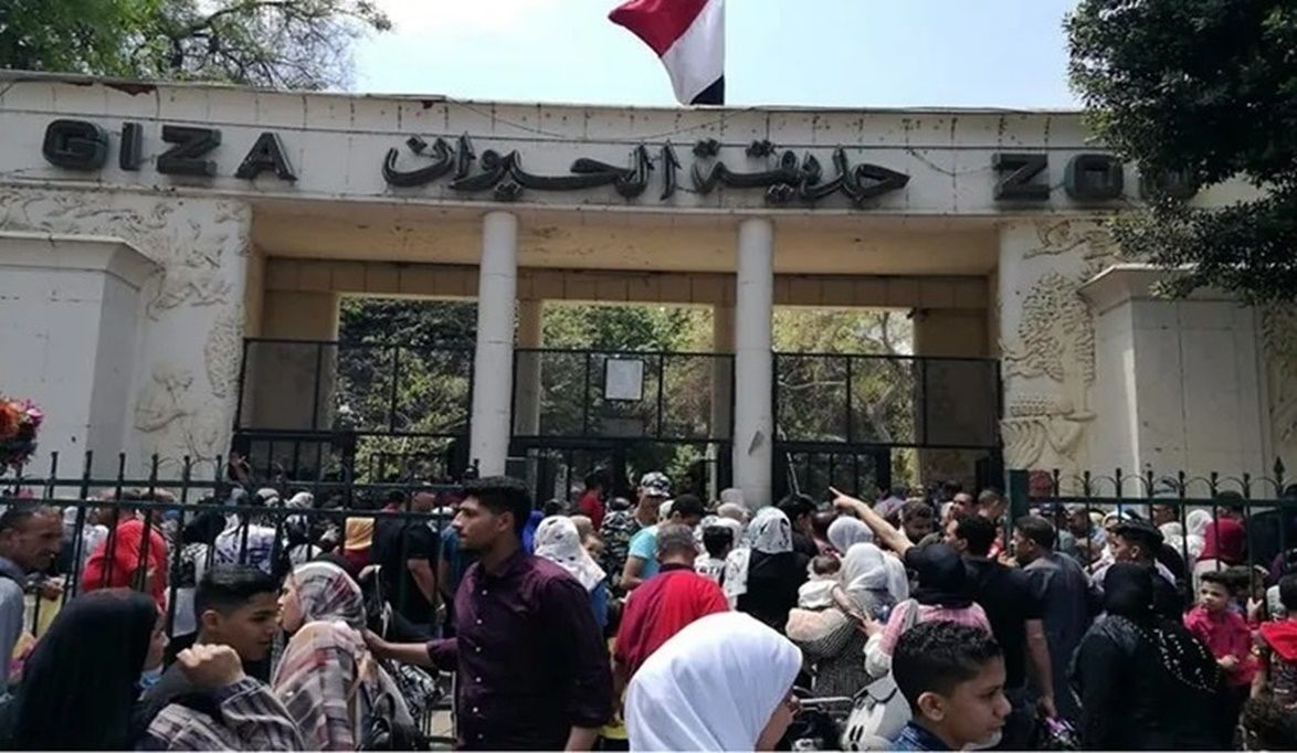 حديقة الجيزة حيوانات نادرة وعروض مفتوحة… الجنينة تكتب فصلًا جد…