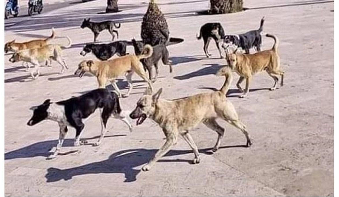 لا توجد أي علامات مميزة تظهر على الكل…