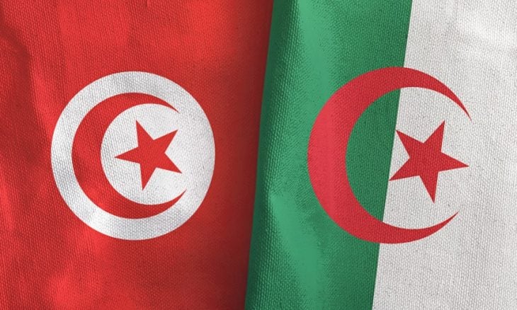 وزير الدفاع التونسي: “التعاون العسكري مع الجزائر خيار استراتيجي لا يخضع للمزايدات”