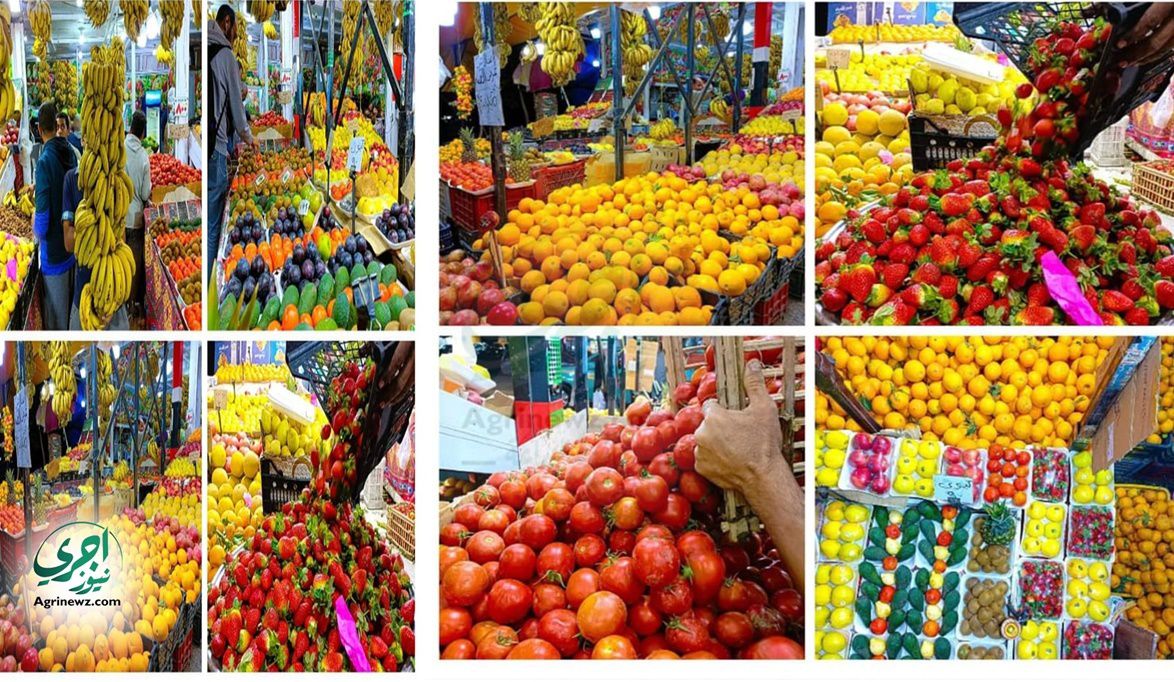 طفرة تاريخية صادرات مصر الزراعية الطماطم والثوم والفراولة والج…
