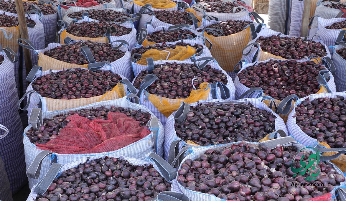 اكتفاء ذاتي وفائض للتصدير بفضل مواصفاته التخزيني…