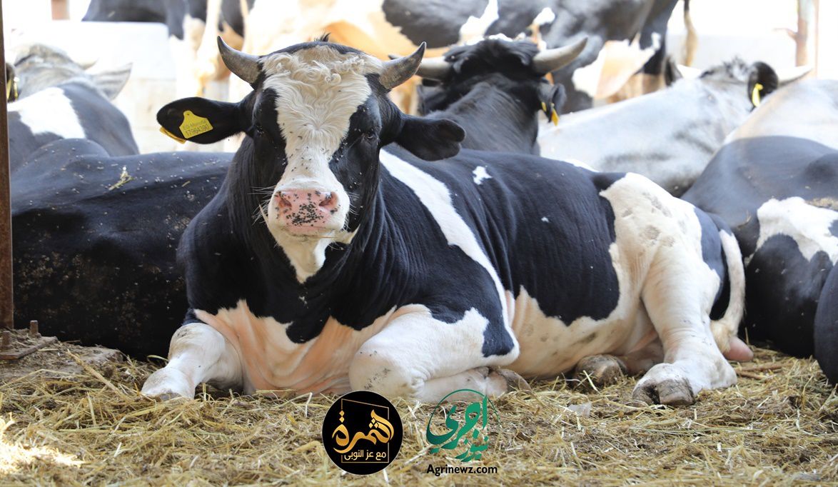 الزراعة تفتح الباب للشباب والسيدات.. الشرو…