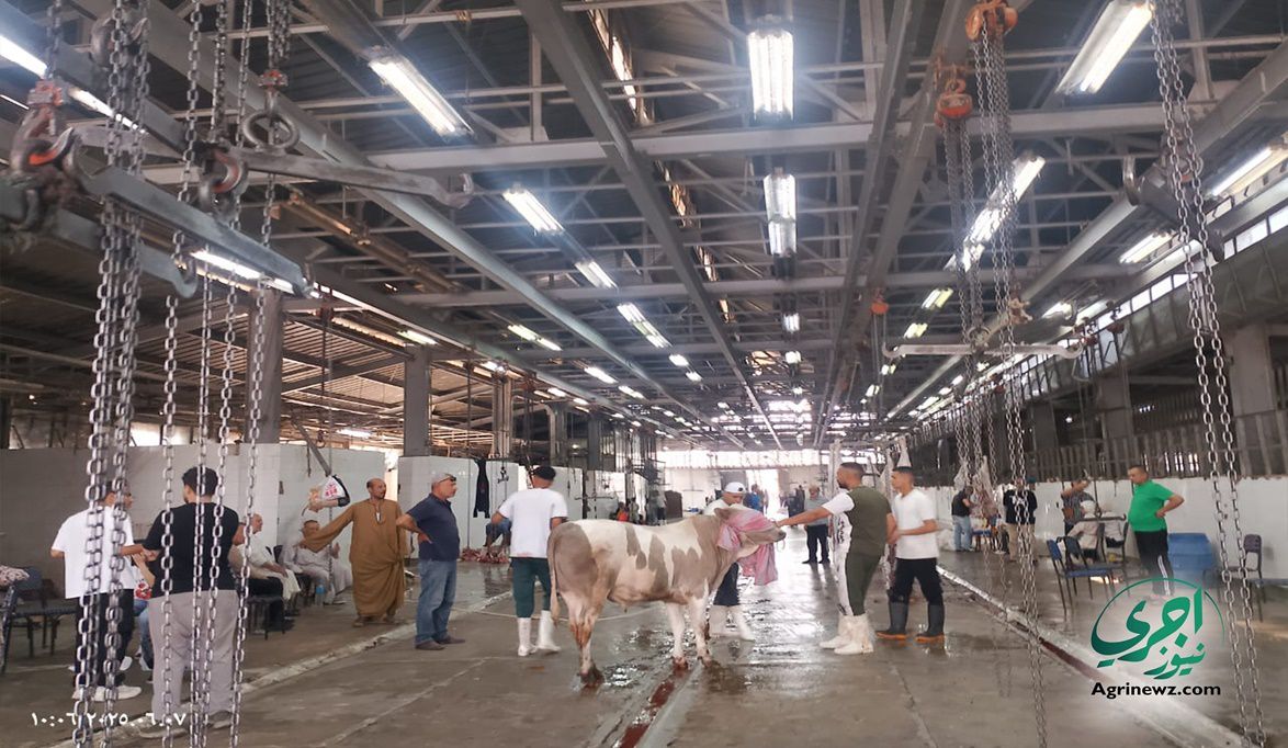 حملات مكثفة مفاجئة على الأسواق.. “الزراعة” تشن حرباً مشتركة لض…