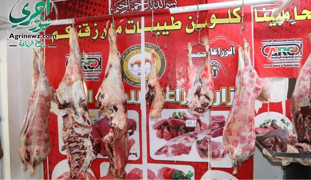 الزراعة طرح 200 سلعة ولحوم بتخفيضات 50% بالقرى والمحافظات لموا…