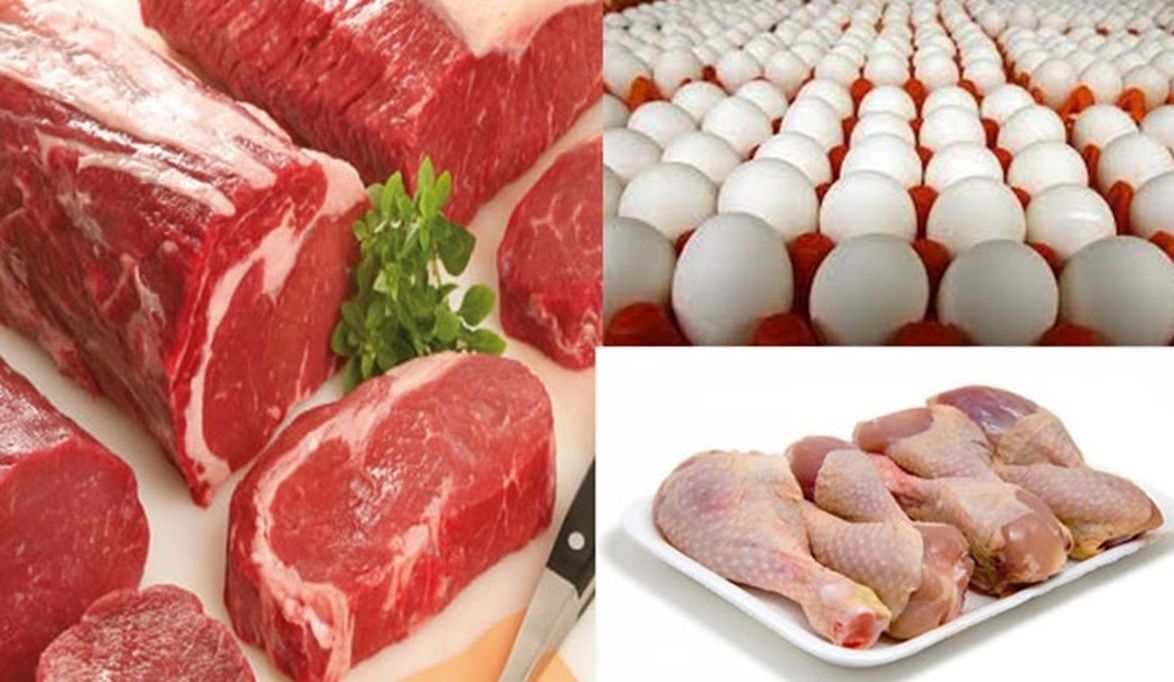 الدواجن والسمك واللحوم .. نقيب الفلاحين يوجه رسالة للمواطنين…