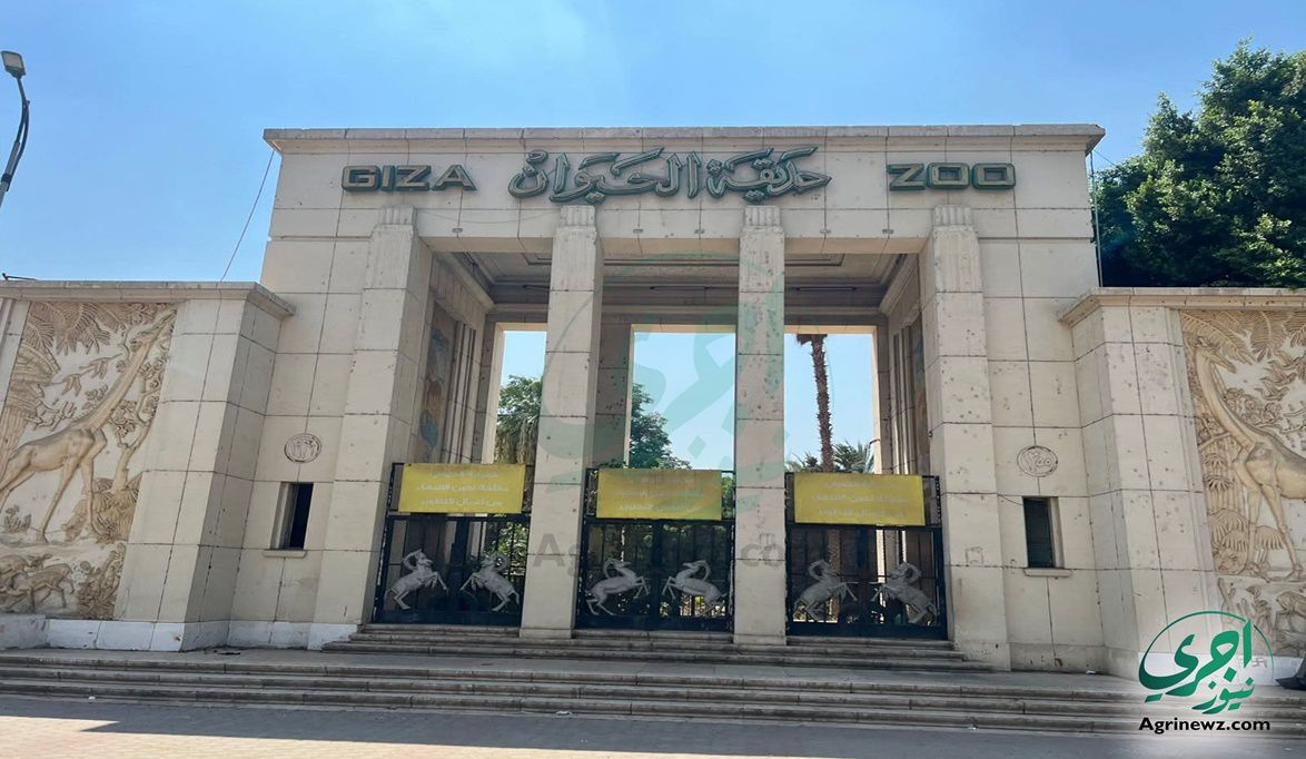 موعد إعادة افتتاح حديقة الحيوان بالجيزة بعد التطوير الشامل ورب…