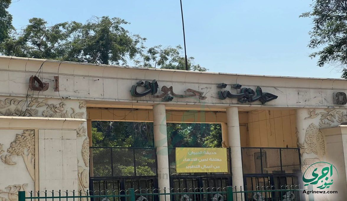 موعد فتح حديقة الحيوان قرب… والجيزة بتجهز مفاجآت بعد التطوير ا…