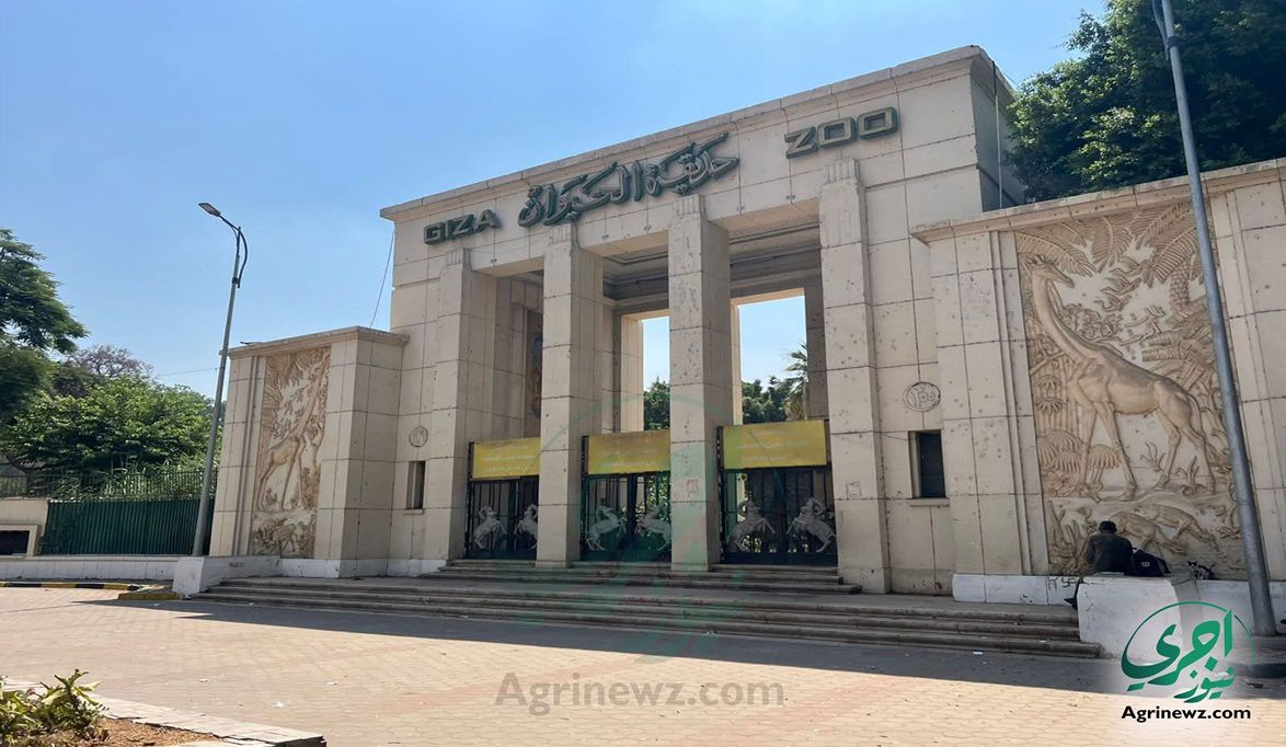 برامج ترفيهية لـ”شهد وفرحة” للخروج من العزلة قبل افتتاح حديقة …