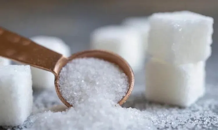 شريف فاروق: السكر الحر متوفر بالمجمعات الاستهلاكية بسعر 28 جنيهًا للكيلو