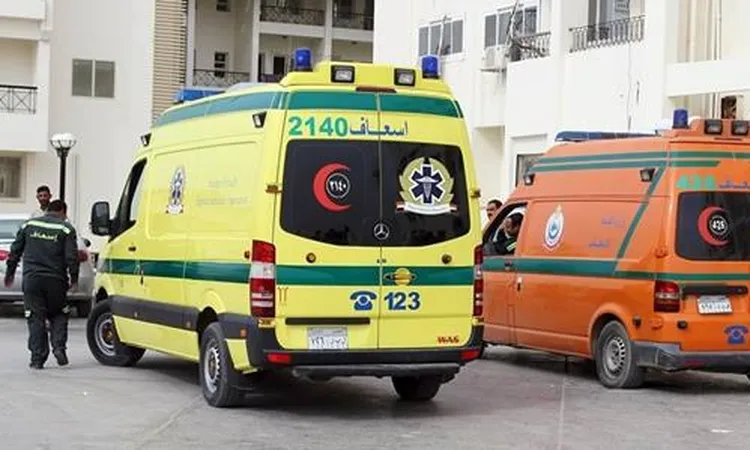 اسماء ضحايا حادث تصادم بين سيارة ربع نقل بتروسكيل بالمنيا