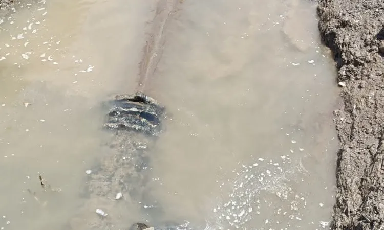 إيقاف مآخذ محطتين لمياه الشرب بسبب بقعة زيت في مجرى النيل ببني سويف