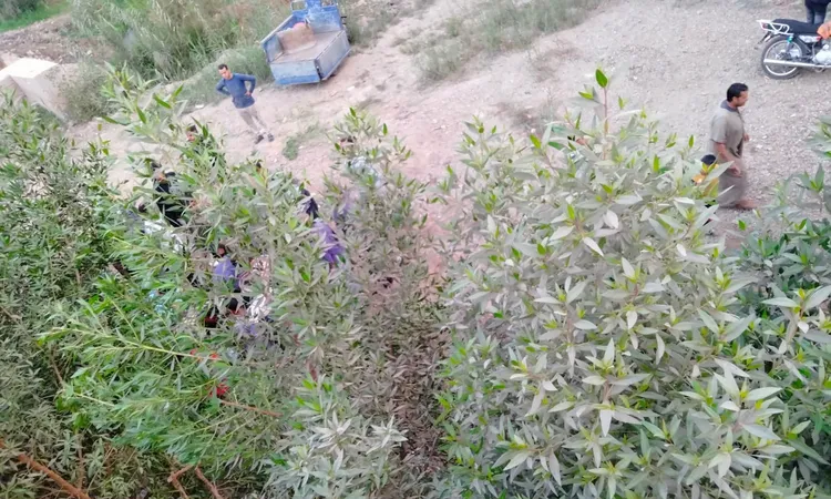 إصابة شخصين بانقلاب تروسيكل على طريق دمو بالفيوم