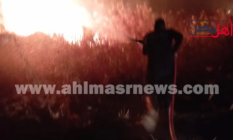 السيطرة على حريق في مزرعة شركة مياه الشرب والصرف الصحي بسوهاج