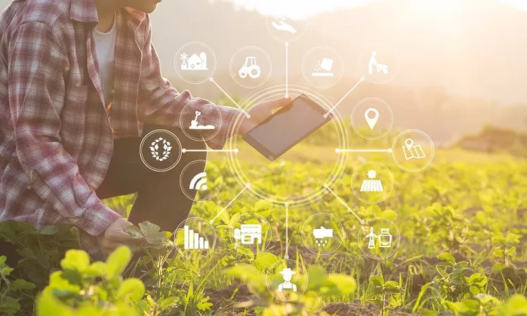 محافظ الجيزة: الواحات البحرية تمتلك مقومات زراعية وصناعية فريدة