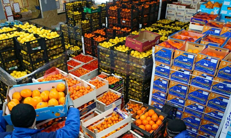 “التصديري للصناعات الغذائية”: مصر تصدر غذاء للعالم بأكثر من 11 مليار دولار