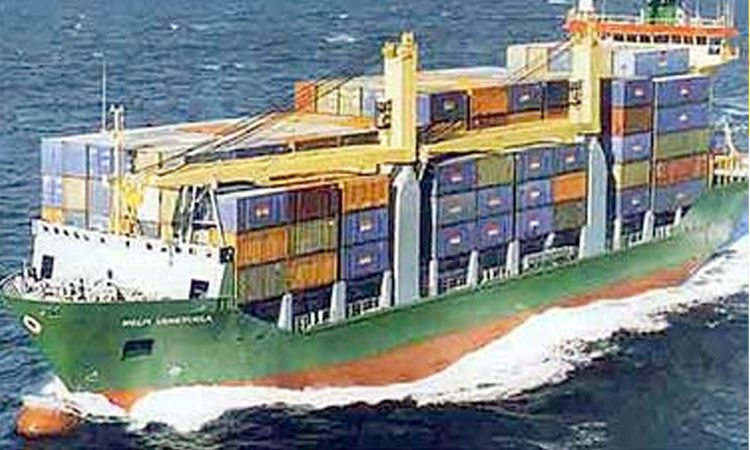 جمارك صادر الإسكندرية تمنع تهريب دخان معسل