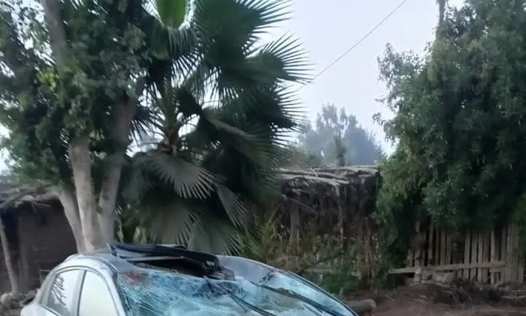 الفرح تحول لمأتم.. مصرع عروس من المنوفية وإصابة عريسها وشقيقتها والسائق في حادث