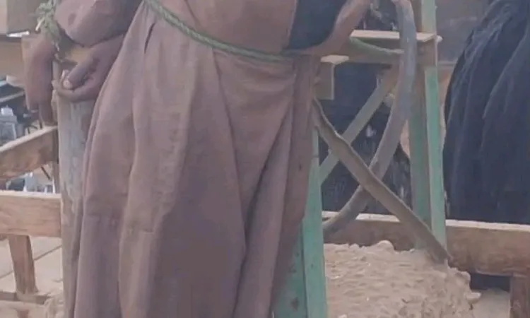 يقوم بسرقة أنابيب البوتاجاز.. الأهالي يتمكنون من ضبط لص وتسليمه للشرطة بقنا