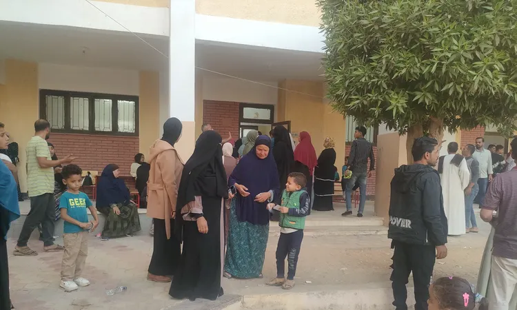 الفيوم تُعلن النتائج الأولية لانتخابات مجلس النواب 2025.. إعادة في 3 دوائر وحسم الرابعة من الجولة الأولى